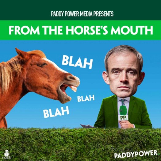 paddy ruby horses mouth