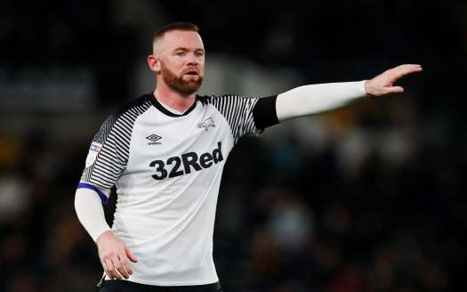 telegraph wayne rooney